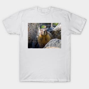 Marmot T-Shirt